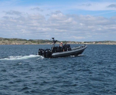 100803rib2.JPG