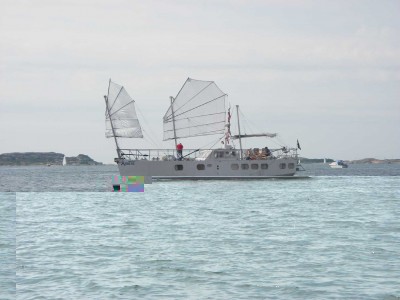 IMGP2303_small.JPG