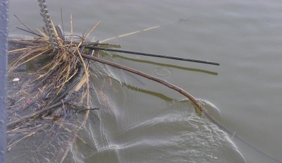 Guadiana.jpg