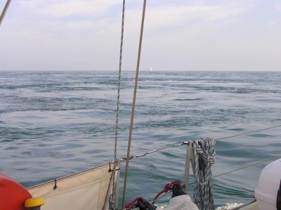 Alderney Race.jpg