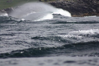 shetland scotland 2010 270 (2).jpg