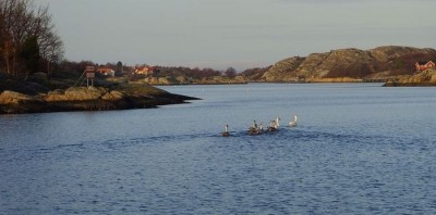 God Jul 022.jpg