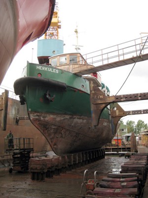 HerkulesJA01.jpg