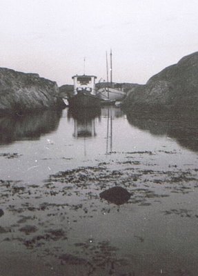 NEPTUN HAMNERÖ.jpg