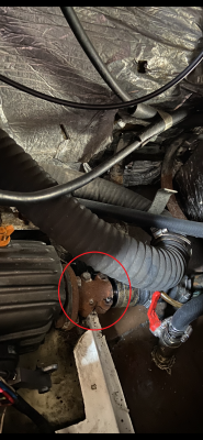 IMG_1340.PNG