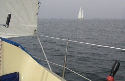 elida.jpg