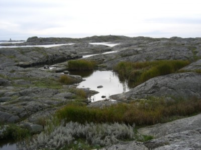 dagens båk.jpg