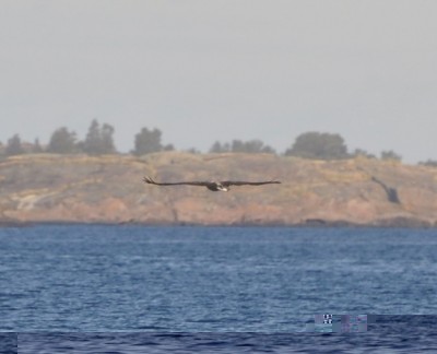 DSC_0044_4.jpg