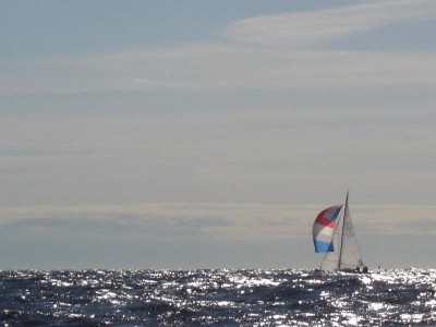 Blåst DSC01312.jpg