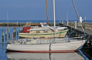 bild Tur 84 