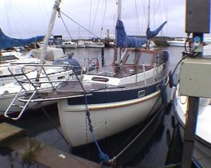 bild Albatros 33 