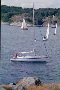 bild Comfortina 39  