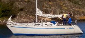 bild Trio 96 