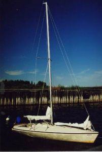 bild Triss SX-2  