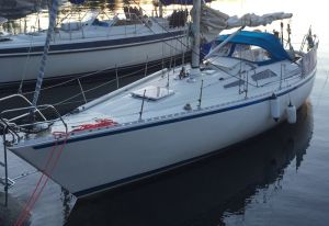 bild Vinco 37 