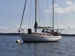 bild Vindö 50 MS 
